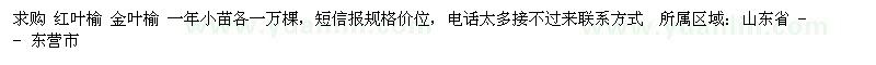 求購 紅葉榆 金葉榆