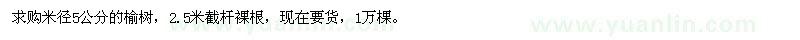 求購米徑5公分的榆樹