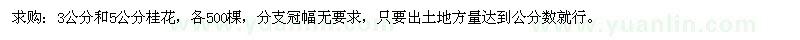 求購3公分和5公分桂花