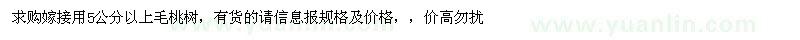 求購嫁接用5公分以上毛桃樹 