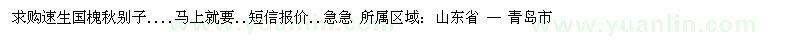 求購速生國槐