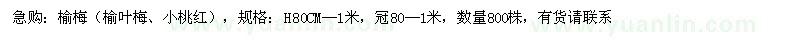 求購(gòu)榆梅