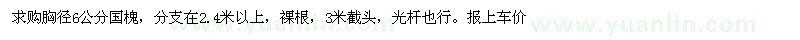 求購(gòu)胸徑6公分國(guó)槐
