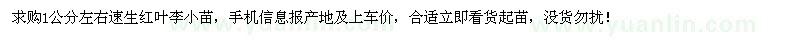 求購速生紅葉李小苗