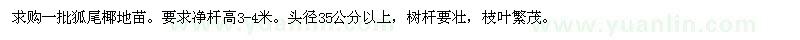 求購(gòu)狐尾椰地苗