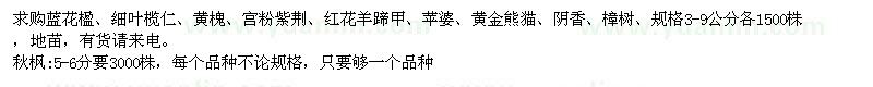求購藍花楹,細葉欖仁,黃槐,秋楓,廣綠苗木