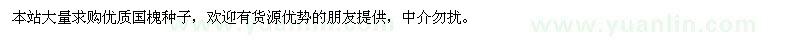 求購(gòu)國(guó)槐種子
