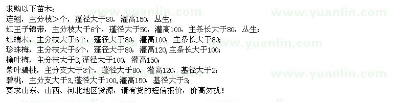 求購連翹、紅王子錦帶、紅瑞木、珍珠梅、紫葉碧桃