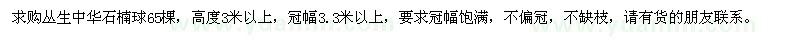 求購叢生中華石楠球65棵
