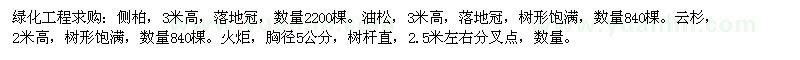 求購側(cè)柏,油松,云杉,火炬