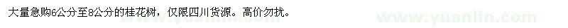 求購桂花樹