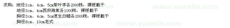 求購紫葉李