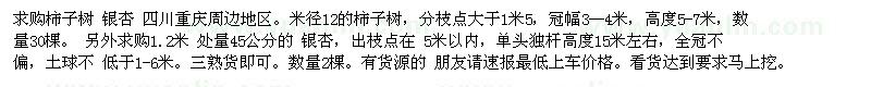 求購柿子樹 銀杏 四川重慶周邊地區(qū) 