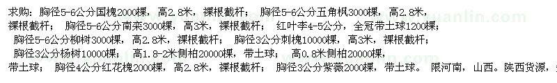 求購國槐 五角楓 南欒 