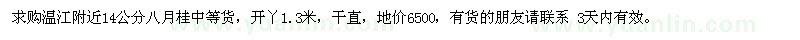 求購溫江附近14公分八月桂中等貨 
