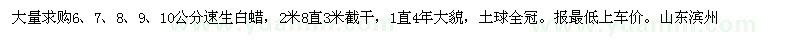 求購6、7、8、9、10公分速生白蠟 