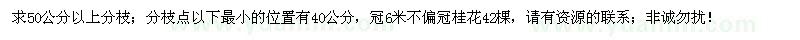 求購桂花42棵 