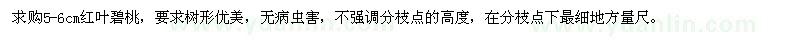 求購5-6cm紅葉碧桃