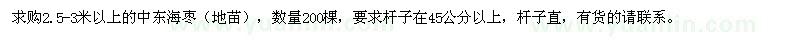 求購2.5-3米以上的中東海棗