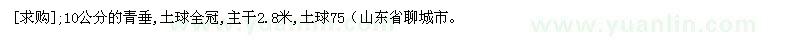 求購10公分的青垂,土球全冠,主干2.8米,土球75