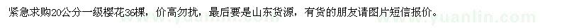 求購20公分一級櫻花36棵