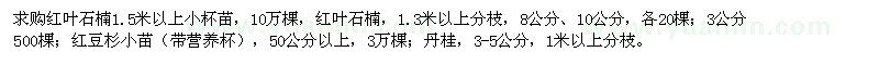 求購紅葉石楠,紅豆杉,丹桂