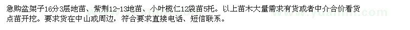 求購急盆架子,紫荊,小葉欖仁