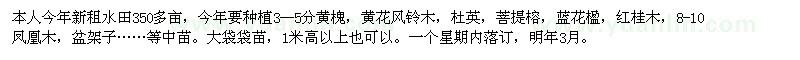 求購中苗,大袋種苗：3--5分黃槐，黃花風(fēng)鈴木，杜英等
