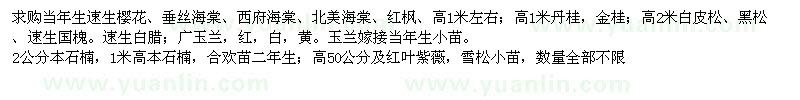 求購速生櫻花、垂絲海棠、西府海棠、北美海棠、紅楓等小苗