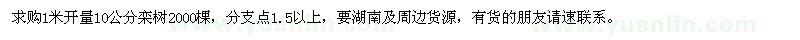 求購10公分欒樹