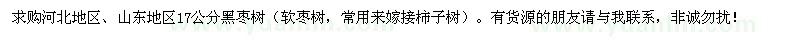 求購苗木：河北地區(qū)、山東地區(qū)黑棗樹