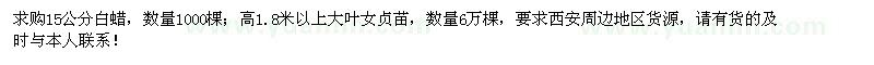 求購白蠟、大葉女貞