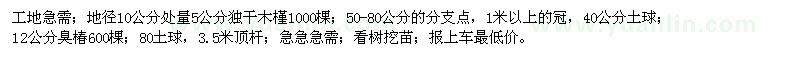 求購(gòu)5公分獨(dú)干木槿1000棵，12公分臭椿600棵
