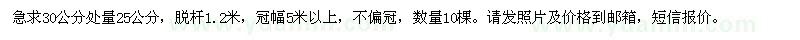 求購急！桂花