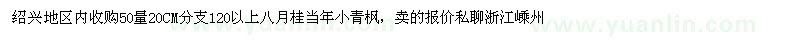求購50量20CM分支120以上八月桂，當年小青楓
