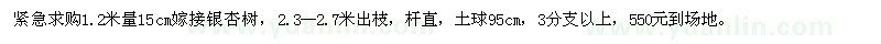 求購(gòu)1.2米量15cm嫁接銀杏樹(shù) 