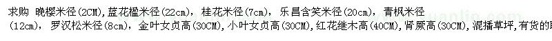 求購晚櫻