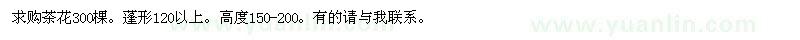 求購茶花