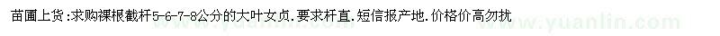 求購裸根截桿5-6-7-8公分的大葉女貞 