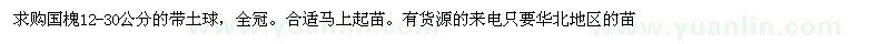 求購國槐