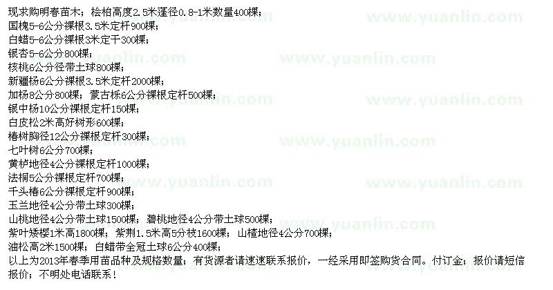 求購(gòu)檜柏 國(guó)槐 白蠟 銀杏樹 核桃樹 新疆楊 蒙古 