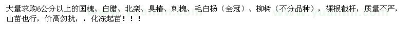 求購(gòu)國(guó)槐、白臘、北欒、臭椿 