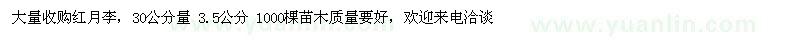 求購紅月李