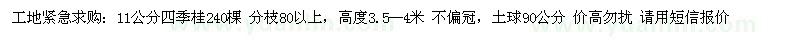 求購(gòu)11公分四季桂240棵 