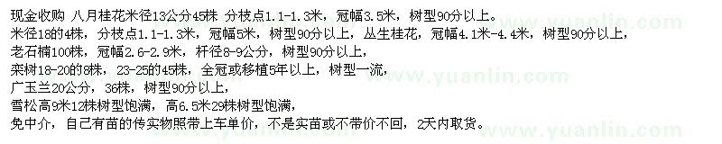 求購(gòu)八月桂花 叢生桂花，老石楠 