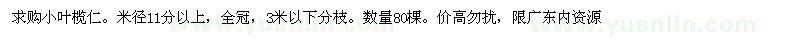 求購(gòu)小葉欖仁