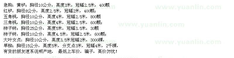 求購黃櫨；紅櫨，三角楓 