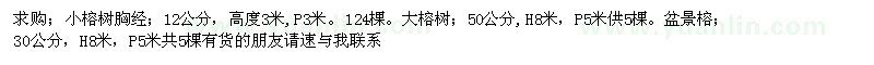 求購小榕樹。大榕樹；。盆景榕 