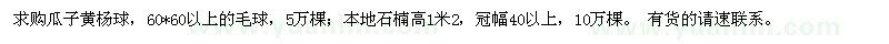 求購瓜子黃楊球,本地石楠