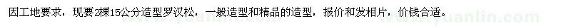求購15公分造型羅漢松